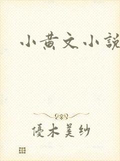 小黄文小说