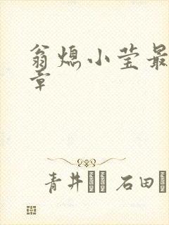 翁熄小莹最新节章