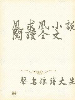 凤求凰小说免费阅读全文