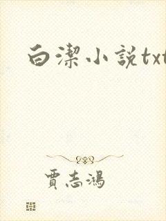 白洁小说txt