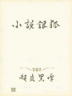 小说银狐