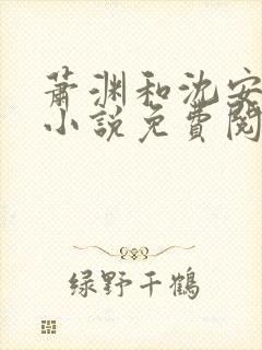 萧渊和沈安安的小说免费阅读