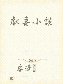 献妻小说封面