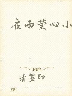 夜雨莹心小说