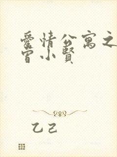 爱情公寓之极品曾小贤