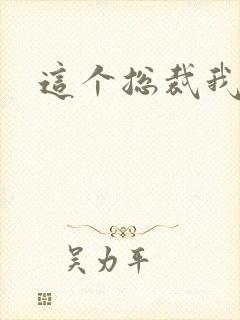 这个总裁我要了