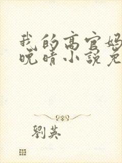 我的高官妈妈苏晚晴小说免费阅读