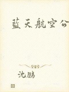 蓝天航空公司封面