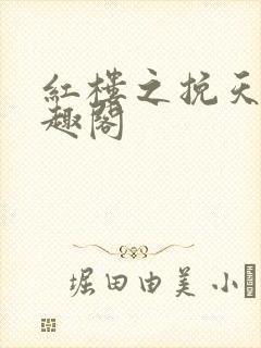 红楼之挽天倾笔趣阁