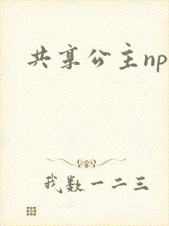 共享公主npc