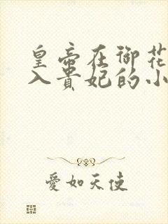 皇帝在御花园进入贵妃的小说