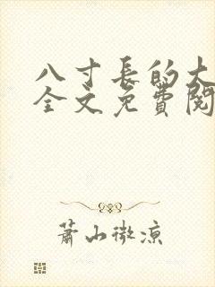 八寸长的大宝贝全文免费阅读