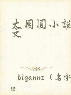 大团圆小说集全文