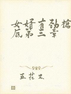 女婿有劲枪枪到底第三章