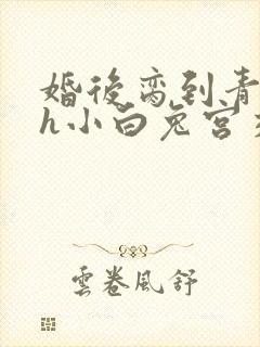 婚后脔到青梅哭h小白兔宫交h