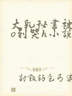 大乳秘书被cao到哭h小说封面