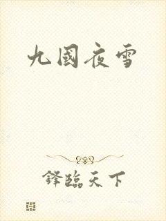 九国夜雪