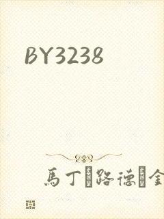 BY3238