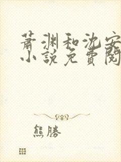 萧渊和沈安安的小说免费阅读