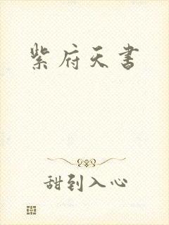 紫府天书封面
