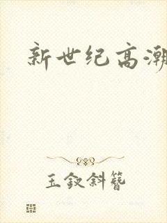 新世纪高潮战队