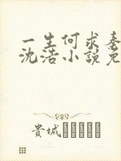 一生何求秦菲雪沈浩小说免费阅读全文笔趣阁