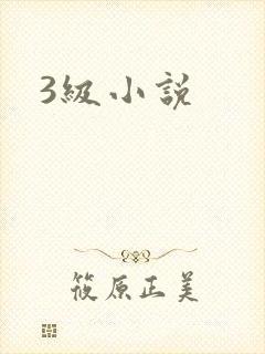 3级小说