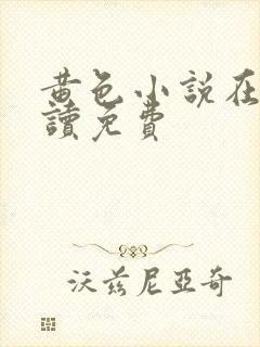 黄色小说在线阅读免费