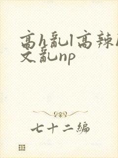 高h乱l高辣h文乱np