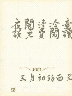 夜阑清冷意欢小说免费阅读