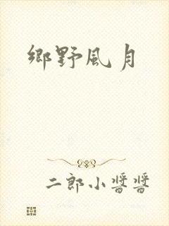 乡野风月封面