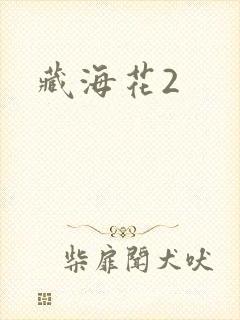 藏海花2