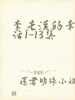 李老汉的幸福生活1-13集