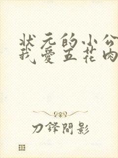 状元的小公主(我爱五花肉)
