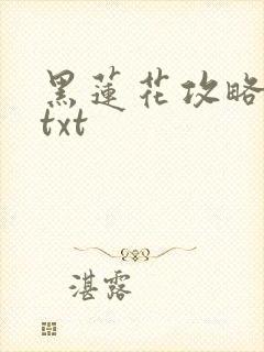 黑莲花攻略手册txt