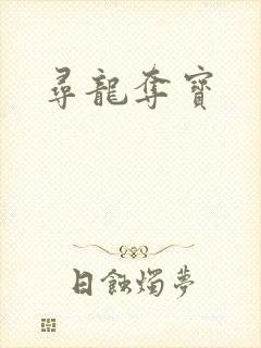寻龙夺宝封面