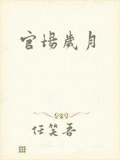 官场岁月封面
