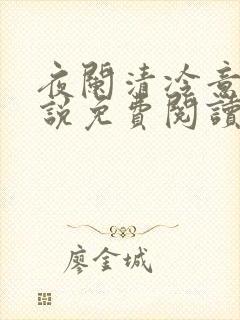 夜阑清冷意欢小说免费阅读