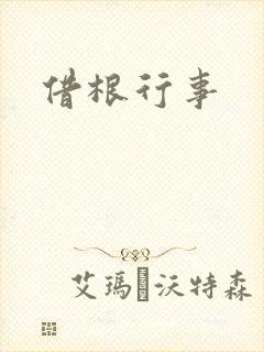 借根行事封面