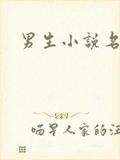 男生小说名字