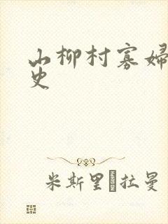 山柳村寡妇的情史封面
