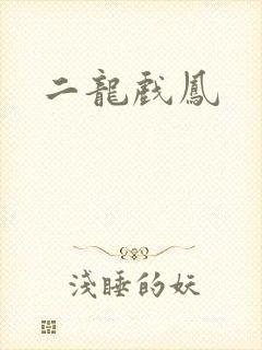二龙戏凤