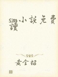 sm小说免费阅读