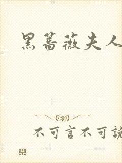 黑蔷薇夫人封面