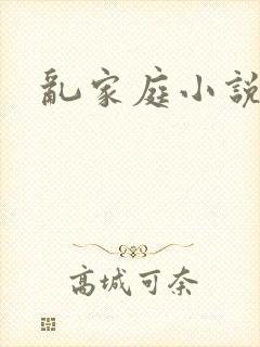 乱家庭小说封面