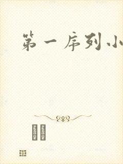 第一序列小说