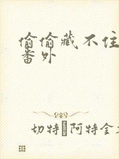 偷偷藏不住新婚番外