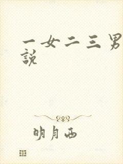 一女二三男事小说封面