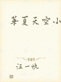 华夏天空小说网