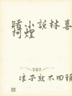 赌小说林喜朝和柯煜封面